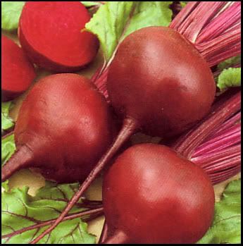 beets photo: Red Beets beetroot.jpg