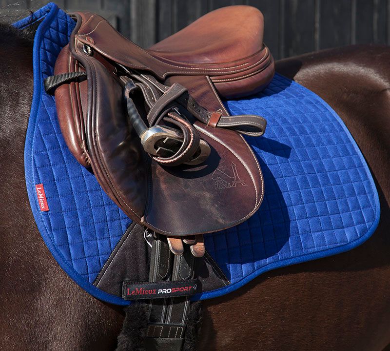 New LeMIEUX pro sport LUXURY GP saddle cloth Full size Blue eBay