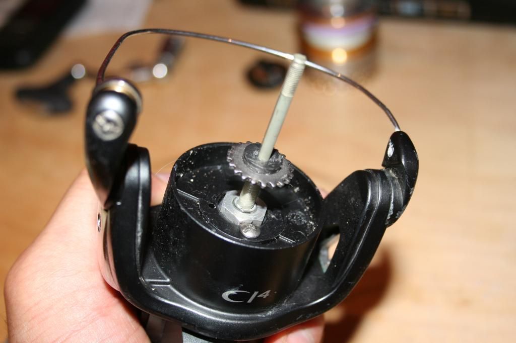 Shimano Rarenium Spinning Reel Maintenance www World Sea Fishing Forums