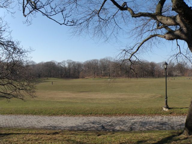 Nueva York para reincidentes. - Blogs de USA - Un Poco de todo: Brooklyn, Staten Island, Tribeca... (7)