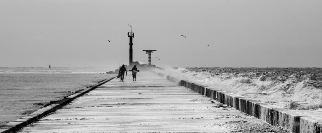 Fotografie