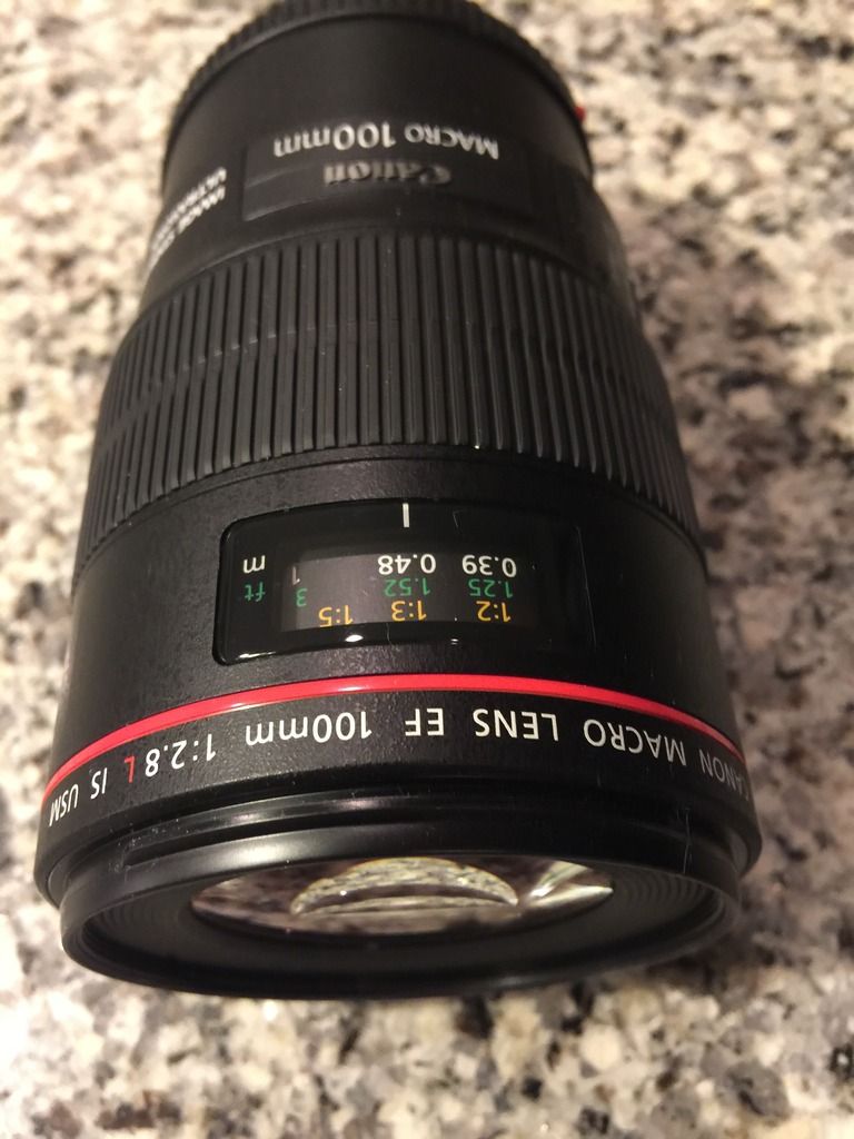 IMAGE: http://i1077.photobucket.com/albums/w470/kl07rph/Canon%20100L%20Macro/IMG_3165_zpsc3obrw0x.jpg