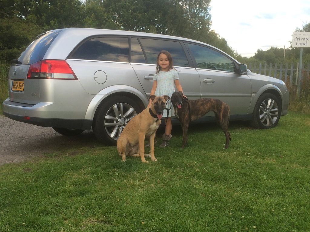 D6E5E508-B4AF-4294-8935-E6DD895C82E3_zps