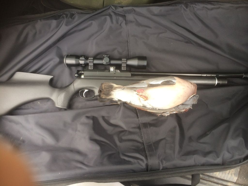 E8D80A07-9413-4463-9239-330316CFF274_zps