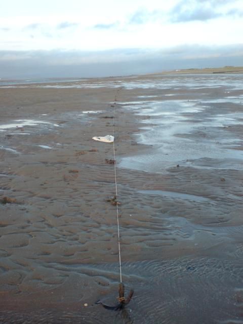 Rossall Cod fishing