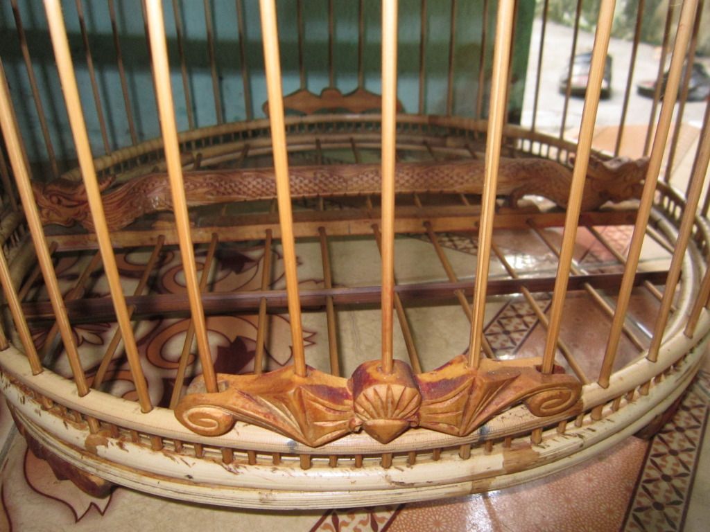 Cung cấp sỉ và lẻ lồng bẫy, lồng nuôi  và phụ kiện cu gáy và chim hót trên toàn quốc. - 12