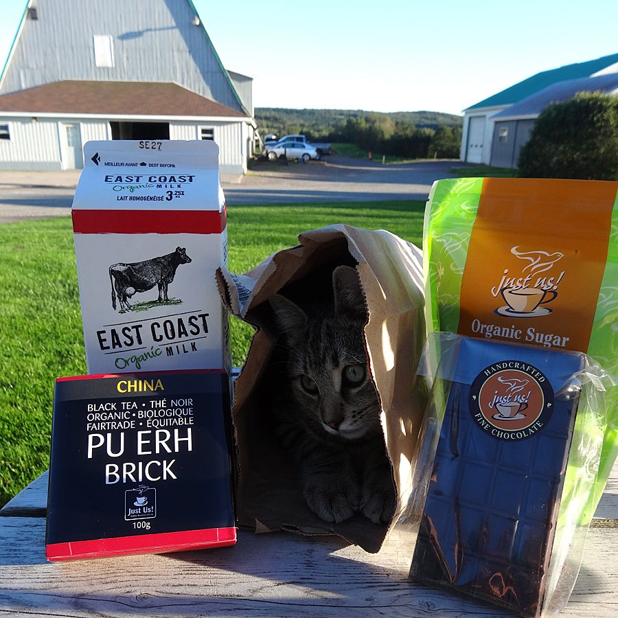 Carl The Cat with East Coast Organic EcoMilkComp Brown Bag Challenge ingredients