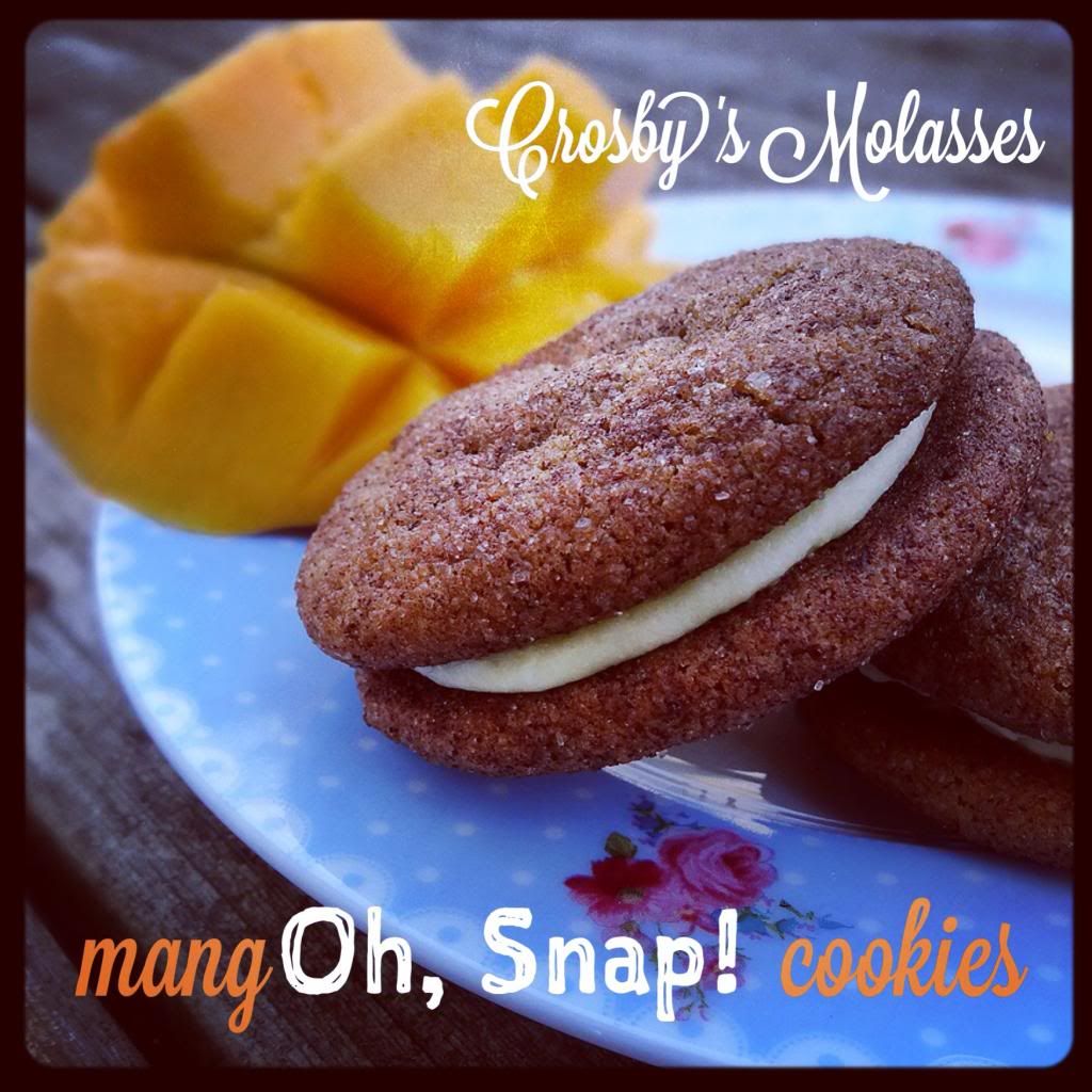 Crosby's Molasses mangOH, SNAP! cookies