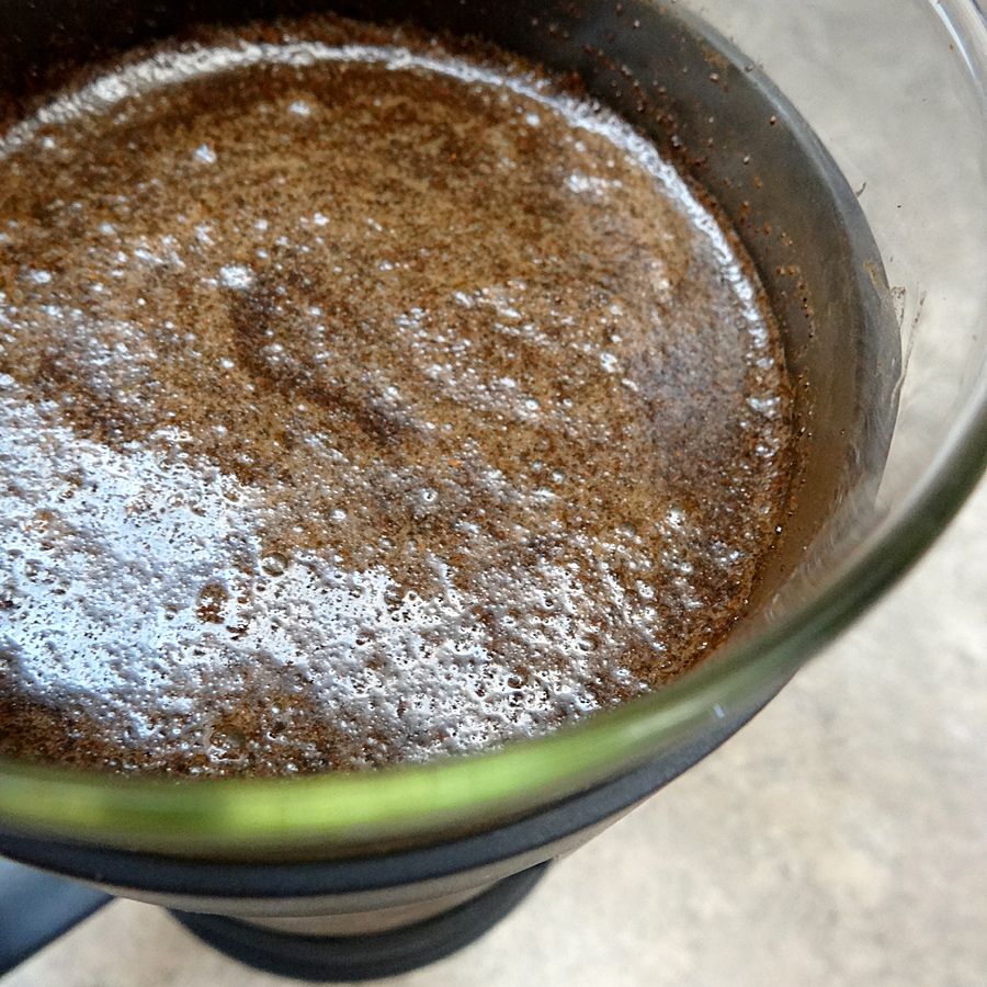 coffee grinds and water in french press