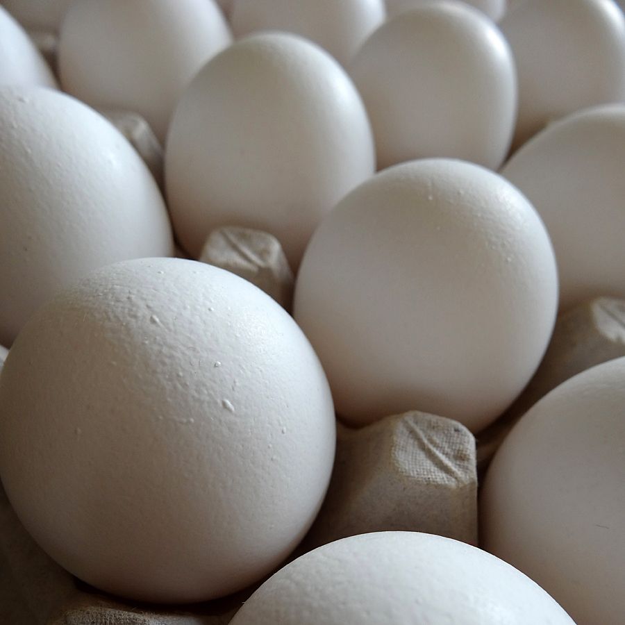 Overmars eggs