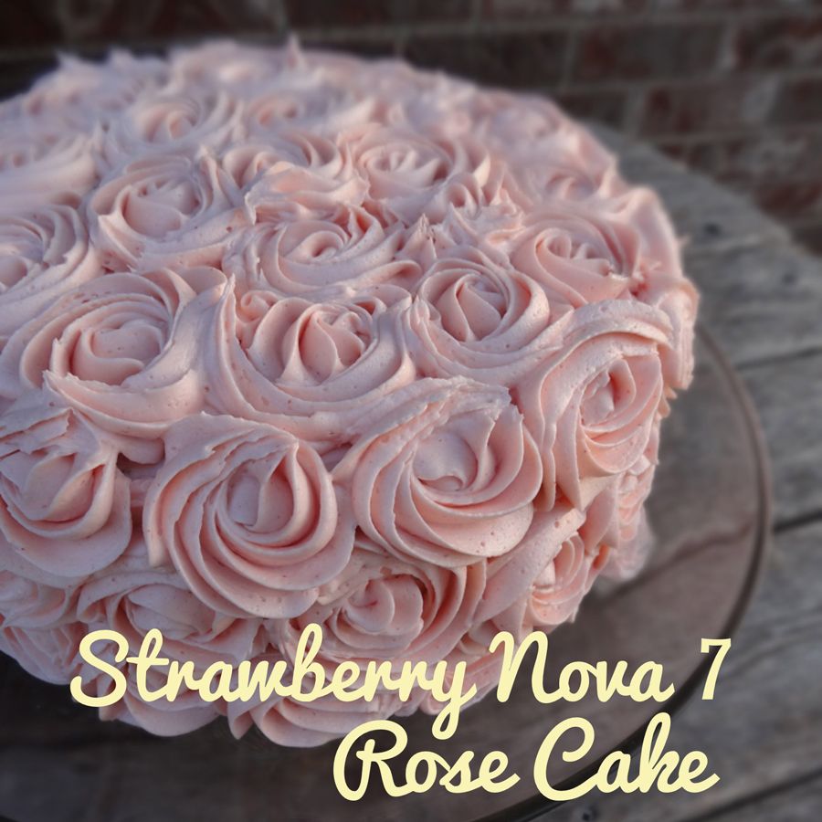 Strawberry Nova 7 Rose Cake