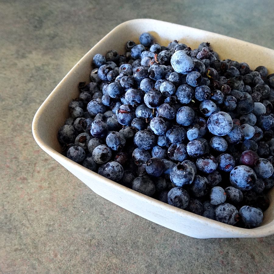 Glenhill Berry Farms Blueberries