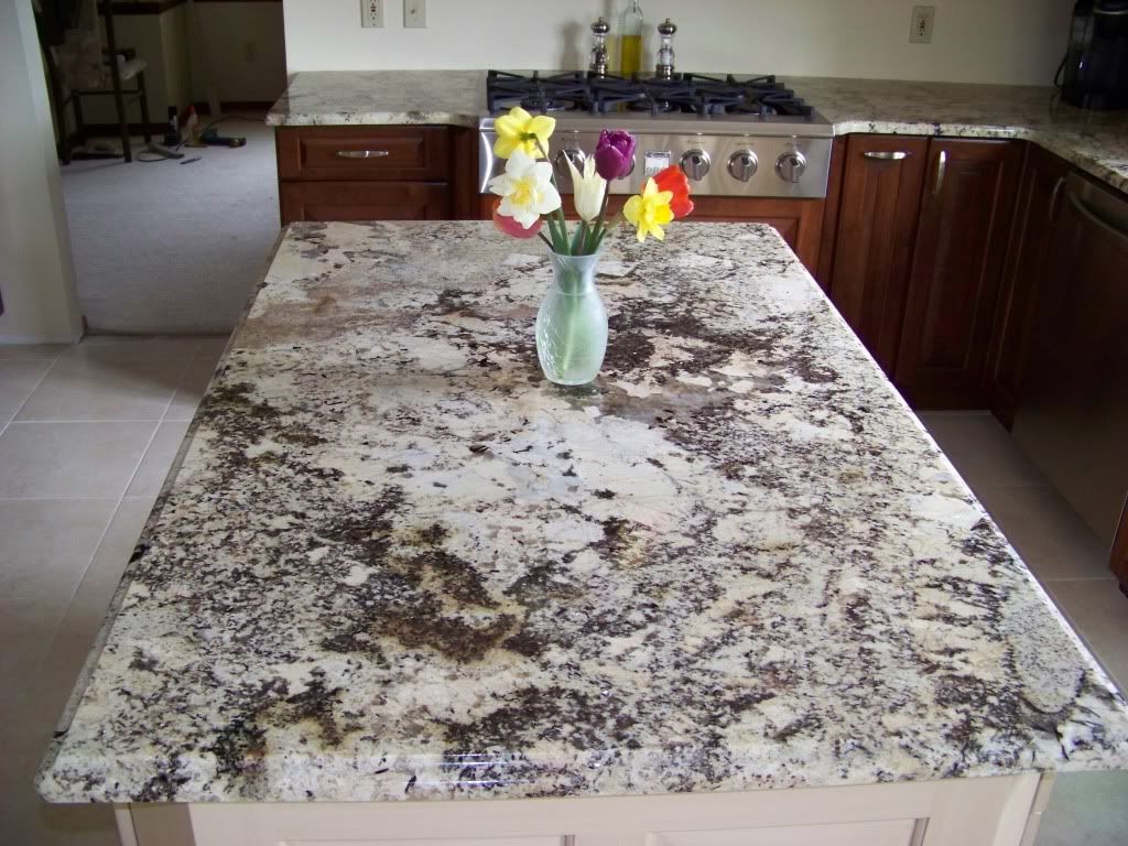 Granite Counter selection help   Kitchens Forum   GardenWeb