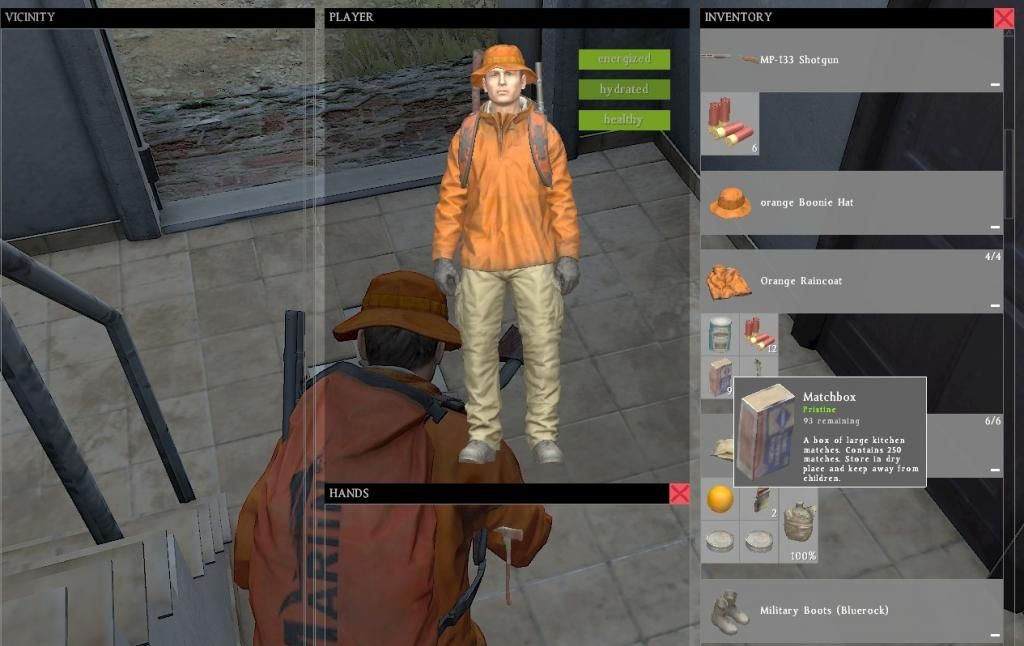 DayZ_93_Matches_Pristine_zps6cecfab8.jpg