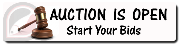 Auction