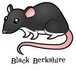 black-berk.jpg