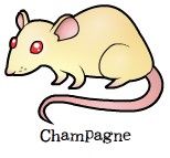 champ.jpg