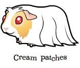 cream-patch.jpg