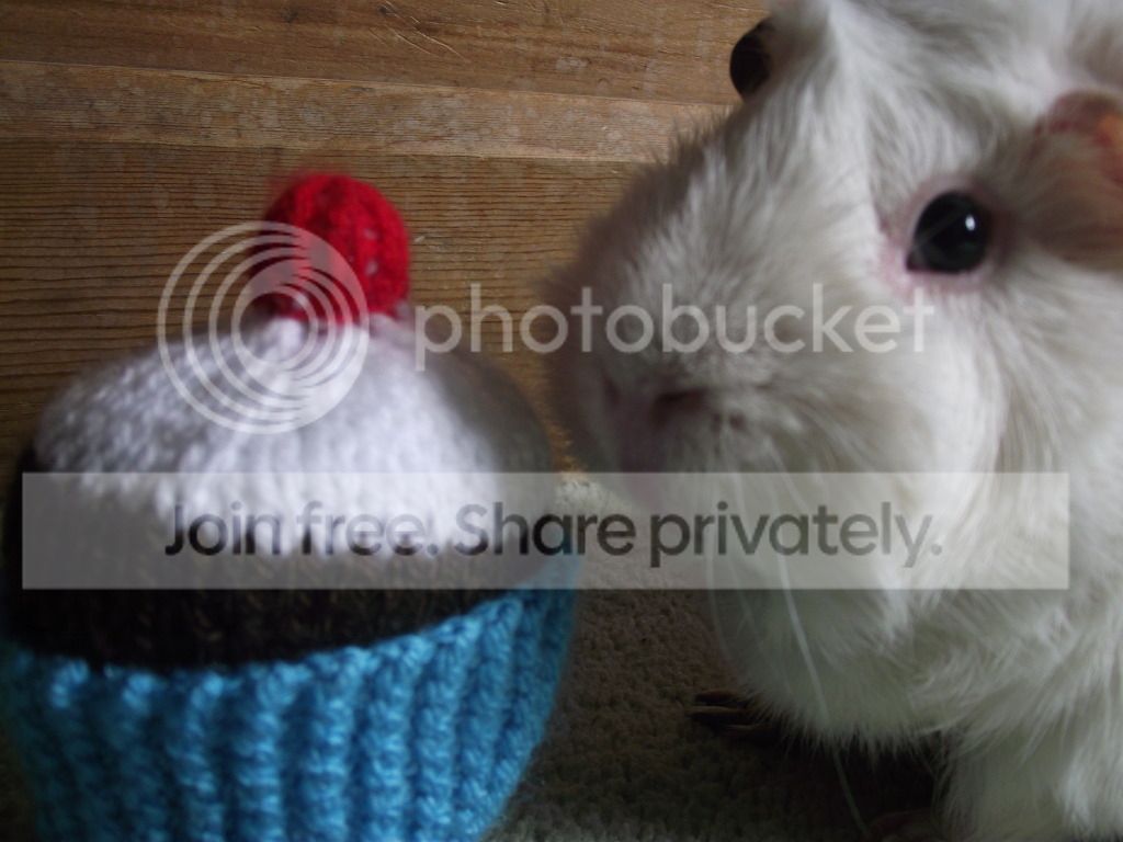 maxscupcake004.jpg