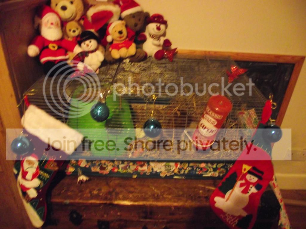 pics010.jpg