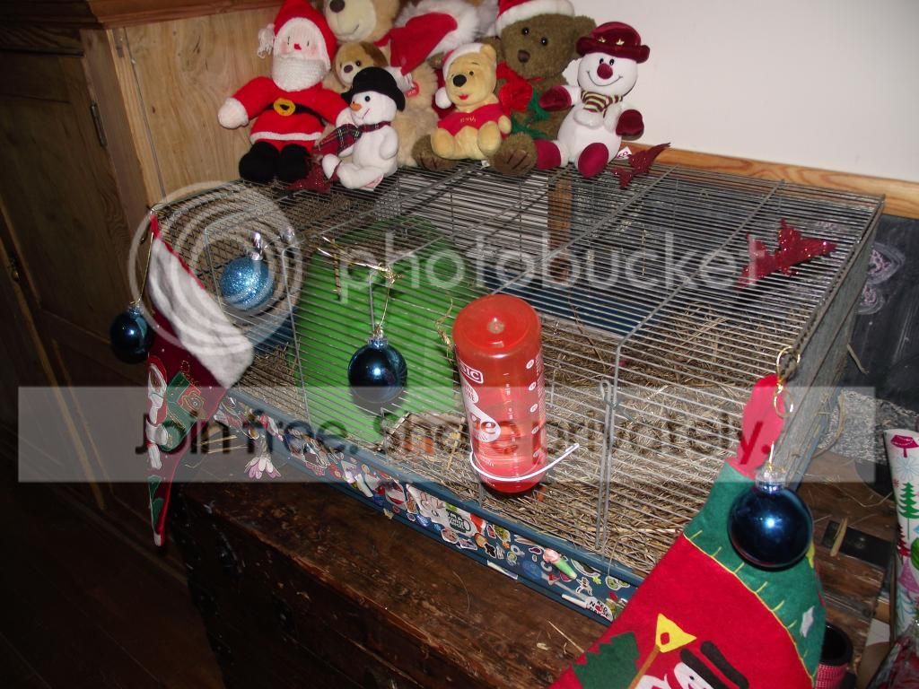 pics015.jpg