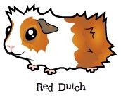 red-dutch.jpg