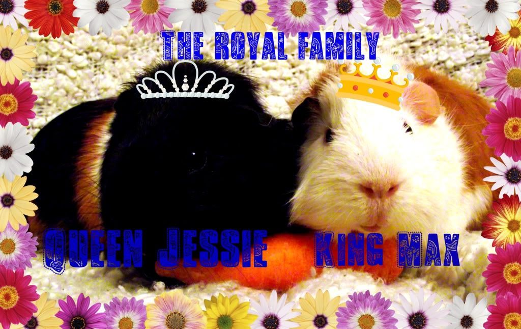 theroyalpiggyfamily.jpg