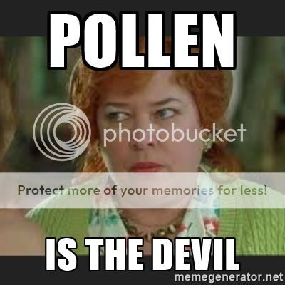 Pollen%20is%20the%20devil_zpsfqiukf66.jpg