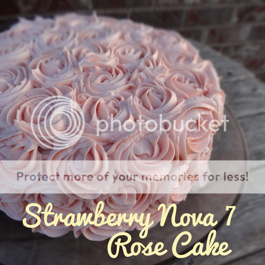 Strawberry Nova 7 Rose Cake