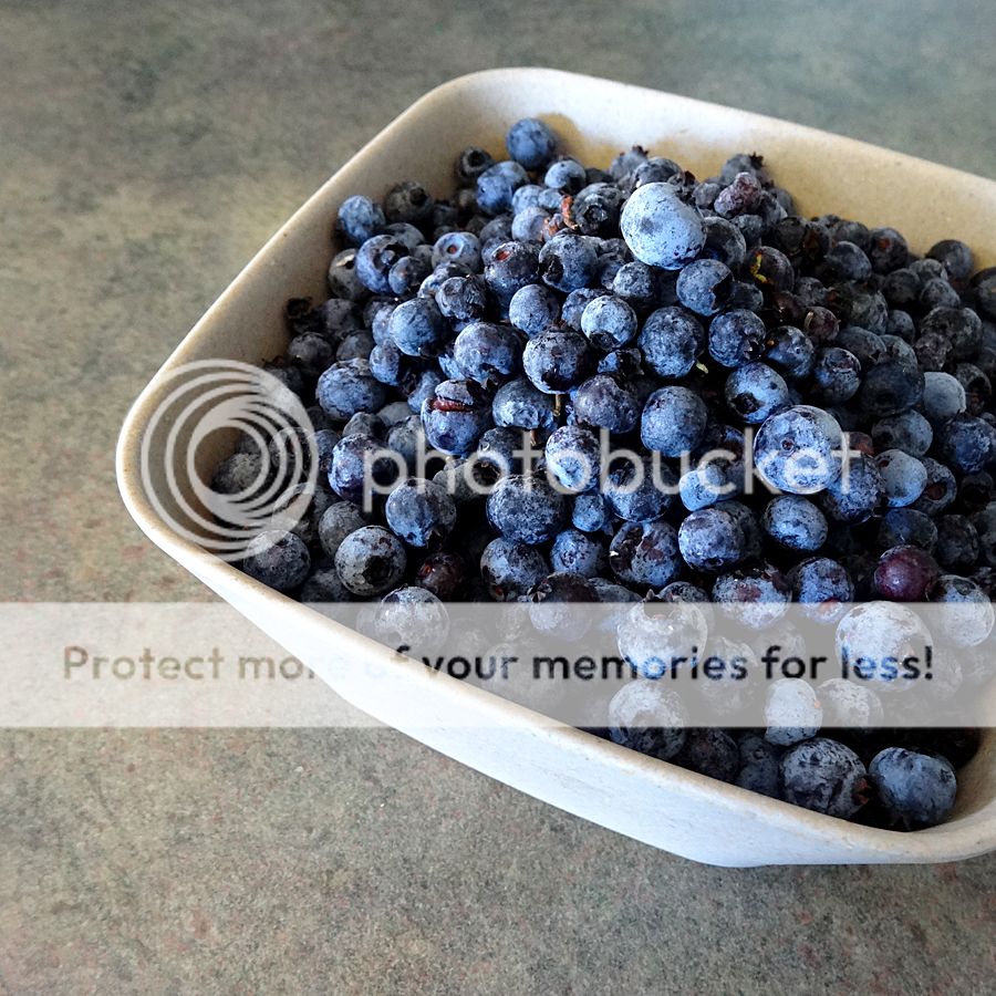 Glenhill Berry Farms Blueberries