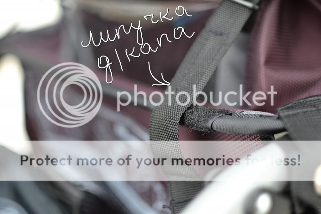 photo image-7_zps18105048.jpg