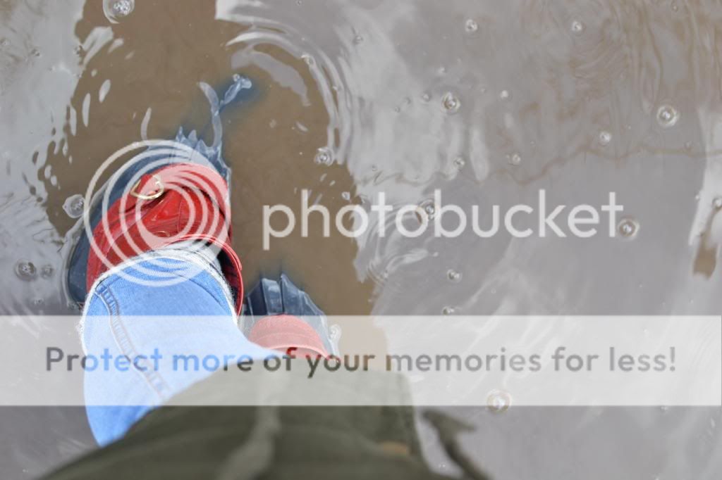 photo image-7_zps4d72962b.jpg