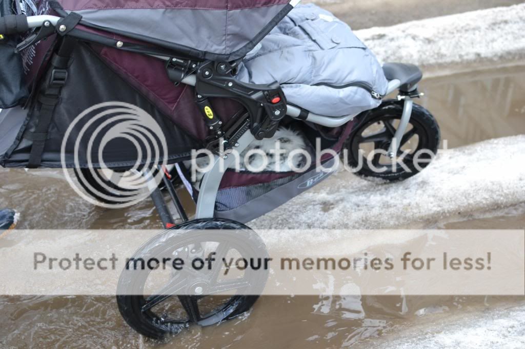 photo image-7_zps9acb52e7.jpg